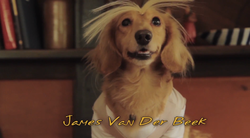 Illustration for article titled Here’s Dawson’s Creek reenacted by Dachshunds